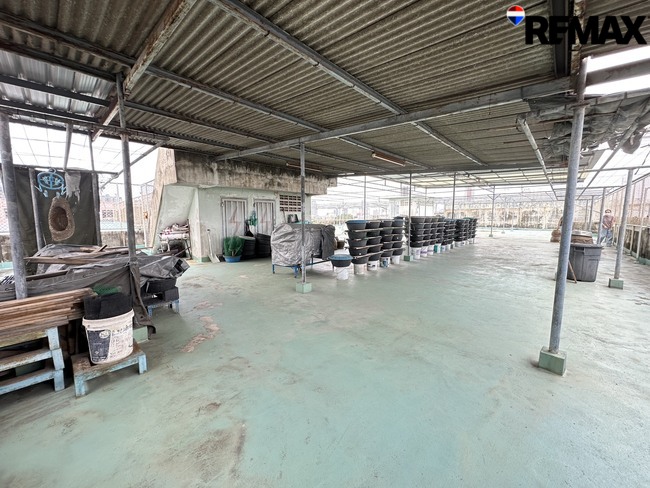 ขายอาคาร 5 คูหา เจริญนคร 66/1 พื้นที่ 1,400 ตร.ม. ที่ดิน 73.1 ตร.ว. เหมาะทำธุรกิจหลากหลาย ราคา 16.5 ล้านบาท