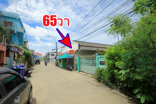 ที่ดินสุขุมวิท117 ซ.ภาณุวงศ์14 แถมบ้านเดี่ยว1ชั้น ทำเลดี ค้าขายได้ 65ตารางวา ปัจจุบันเป็นบ้านเช่า สภาพดีโครงสร้างแข็งแรง ใกล้รถไฟฟ้าปู่เจ้าสมิงพราย จุดขึ้นลงวงแหวนกาญจนาภิเษก
