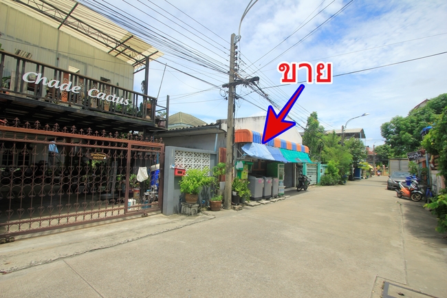 ที่ดินสุขุมวิท117 ซ.ภาณุวงศ์14 แถมบ้านเดี่ยว1ชั้น ทำเลดี ค้าขายได้ 65ตารางวา ปัจจุบันเป็นบ้านเช่า สภาพดีโครงสร้างแข็งแรง ใกล้รถไฟฟ้าปู่เจ้าสมิงพราย จุดขึ้นลงวงแหวนกาญจนาภิเษก