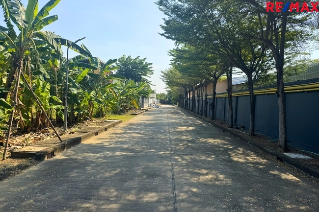 068194