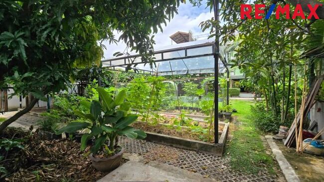 ปรับราคาพิเศษ (ลด 2.2 ล้าน) ขายที่ดิน ลาดพร้าว ซ.81, 99 ตร.วา แปลงมุมใน ที่ดินถมแล้ว นานกว่า ( 10 ปี+ ) ดินSetตัวดีแล้ว เหมาะกับการสร้างบ้าน ใกล้ MRT ลาดพร้าว 81 เพียง 950 ม. แปลงนี้น้ำไม่ท่วม