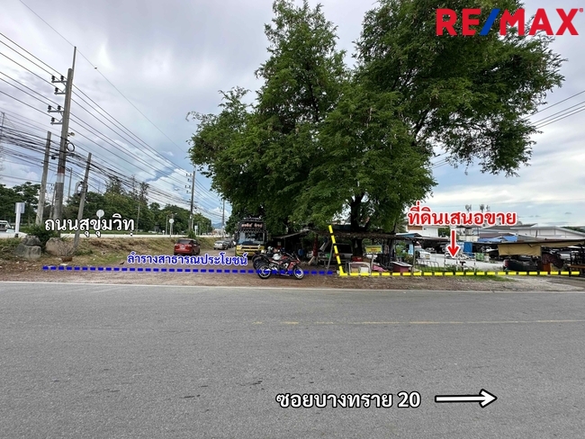 ขายที่ดินติดถนนสุขุมวิท มุมซอยบางทราย 20 เมืองชลบุรี 375 ตารางวา ราคา 60,000 บาท/ตารางวา