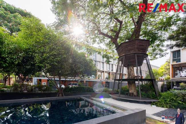 (มาใหม่) "บ้านที่ได้นักวาง landscape ระดับโลกมาออกแบบ" ที่บ้าน DHEPA รามคำแหง 118 หลังนี้ !